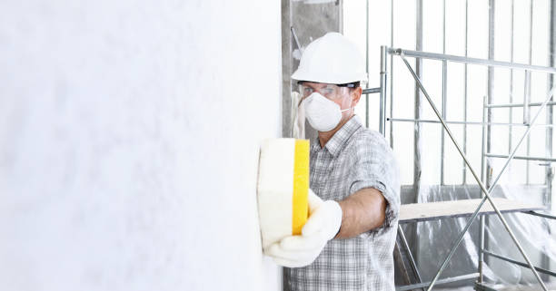 Why You Should Choose Our Mold Remediation Services in Whittingham, NJ